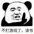 影伊布